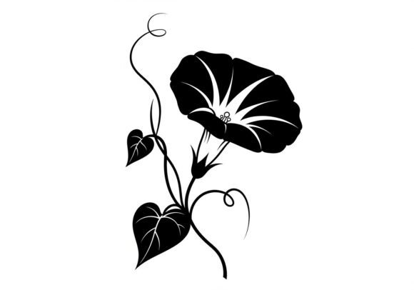 Black Flower Vine Graphics & Illustrations