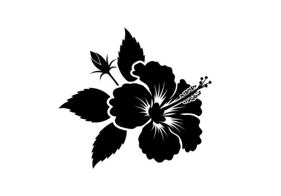Black Silhouette Hibiscus Graphics & Illustrations