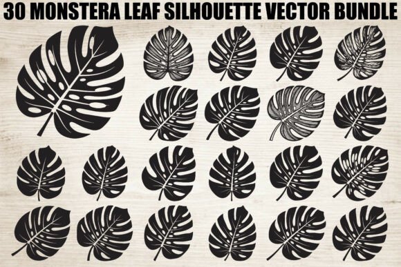 Monstera Leaf Silhouette Bundle: Graphics & Illustrations